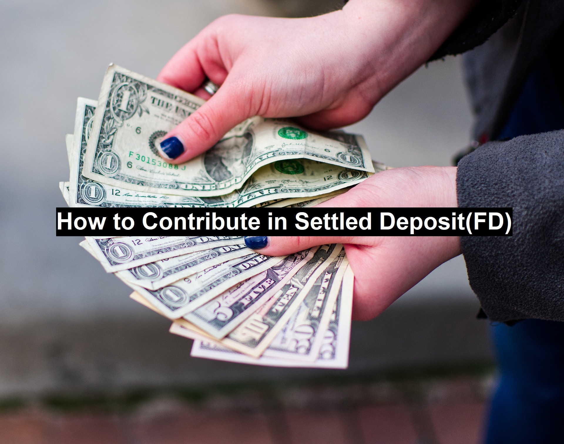 How to Contribute in Settled Deposit(FD)