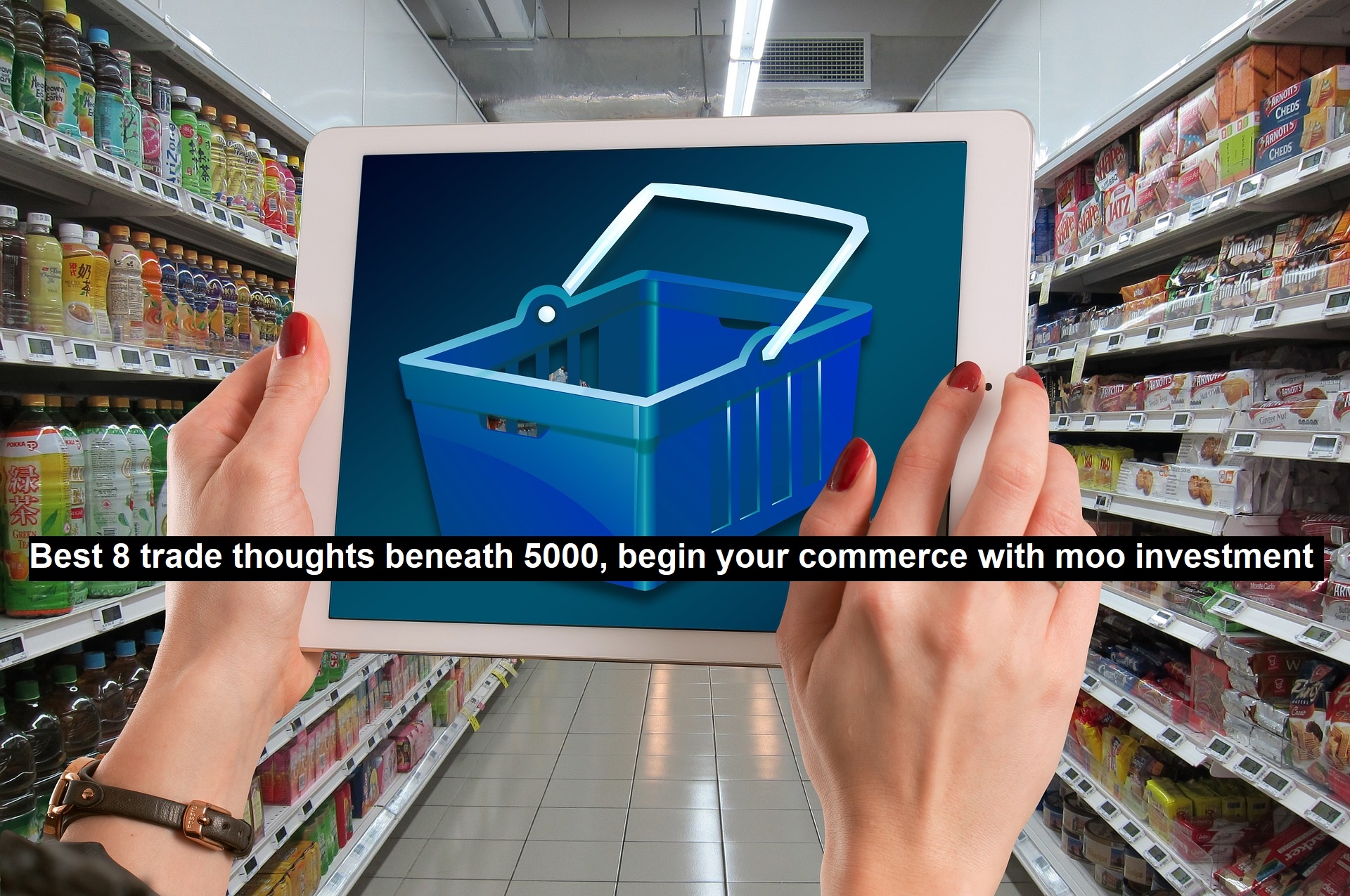 Best 8 Trade Thoughts Beneath 5000, Begin your Commerce with Moo Investment