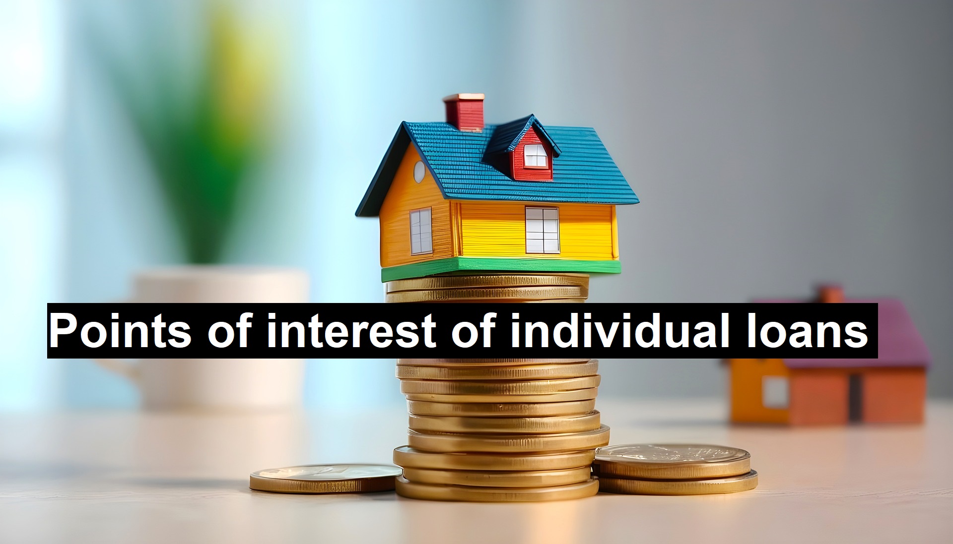 Points of Interest of Individual Loans